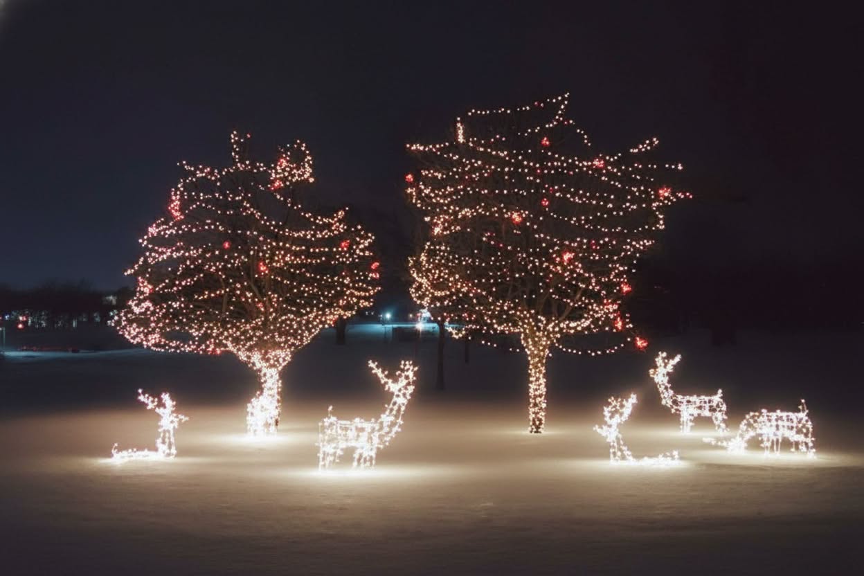 Outdoor Christmas Lighting